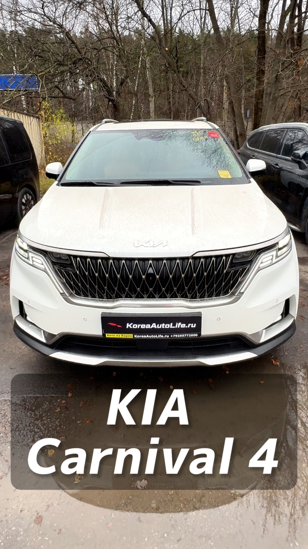 Автомобили с пробегом на заказ из Кореи. Вы знаете, где нас найти.