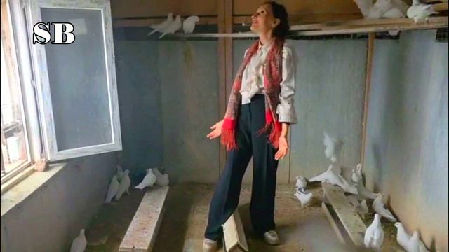 Знаменитая сербская актриса Ивана Жиган в гостях на голубевода Юрия Шмелёва