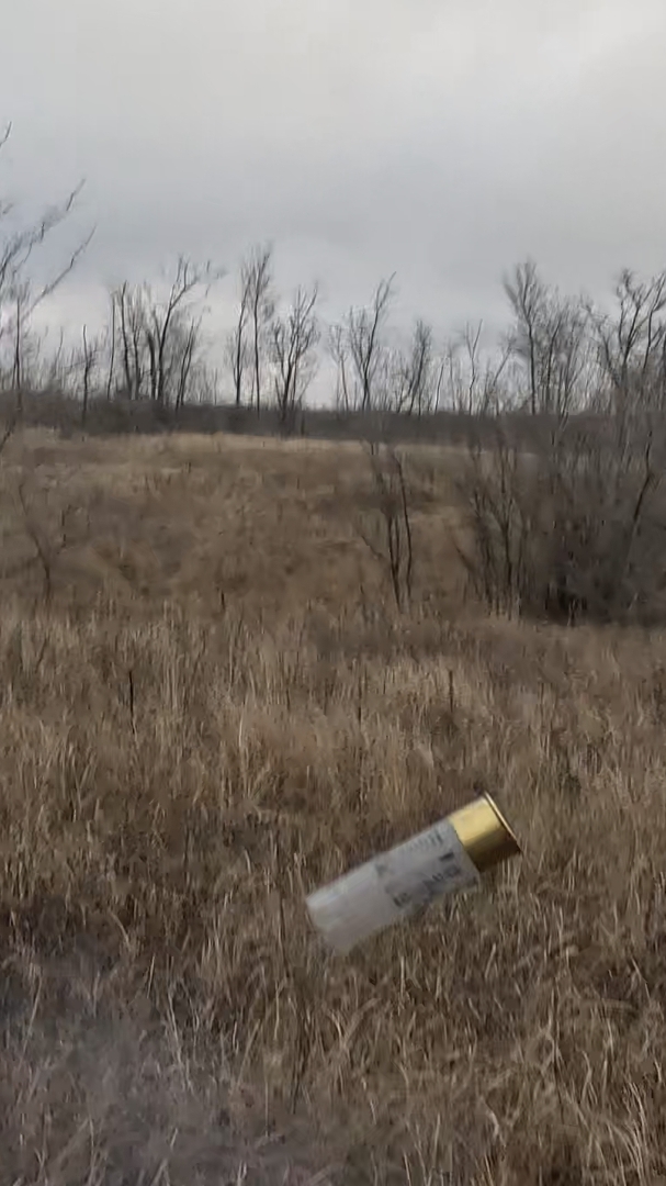 Картечь Куча