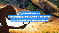 Трамп обвинил в подстрекательстве к мятежу конгрессменов-демократов