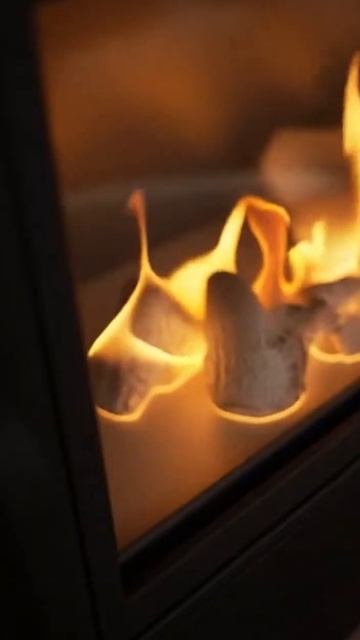 Газовая топка LEO/P/100/G20: тепло и уют в вашем доме #Уют #Тепло