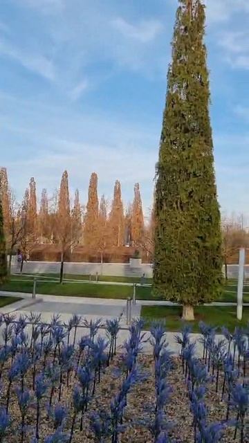 Парк Галицкого! Краснодар | 23.11.2025! #паркгалицкого #парккраснодар #краснодар #красота #парк