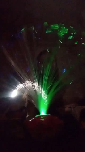 VID_20251123_180605.mp4