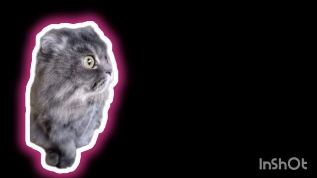 серый путешествие по мирам 2 серия