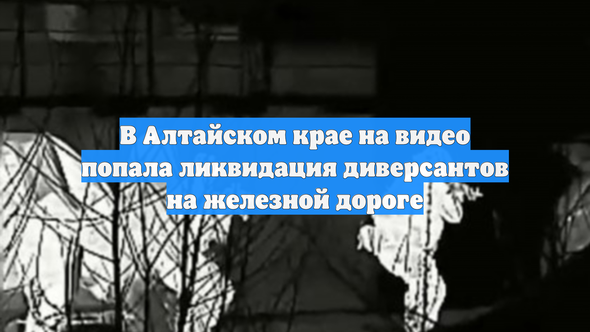 В Алтайском крае на видео попала ликвидация диверсантов на железной дороге