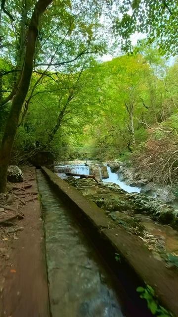 Черниговка, вдоль реки #Абхазия #Canyon #Travel #Waterfall #MountainsLovers #Trip