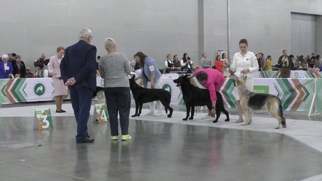 Сравнение на ЛПП и ЛЮ