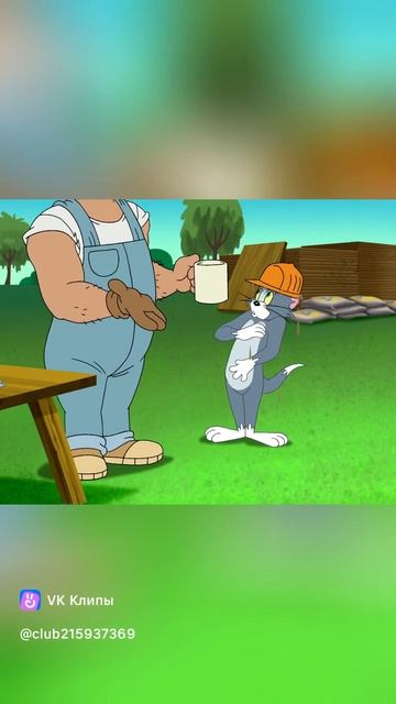 новые том и джери