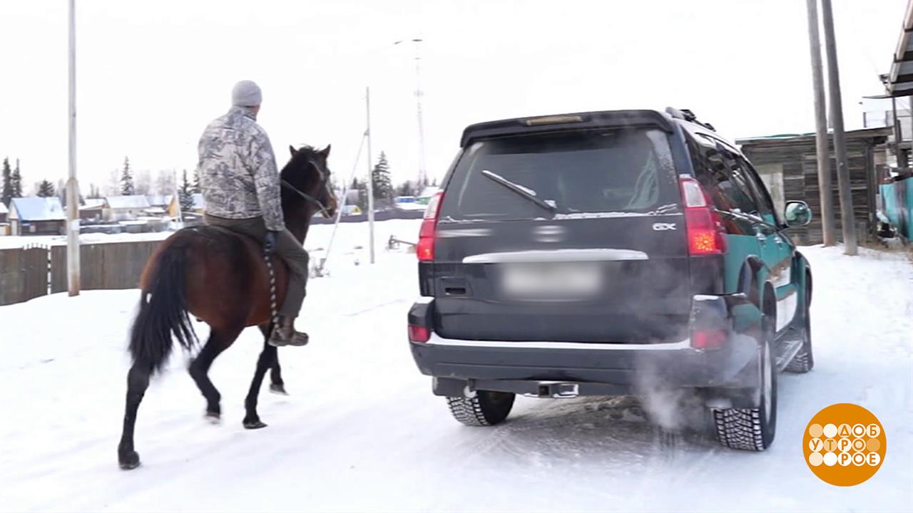 На работу - на коне! Доброе утро. Фрагмент выпуска от 24.11.2025