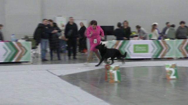 Пинк из Невского Десанта