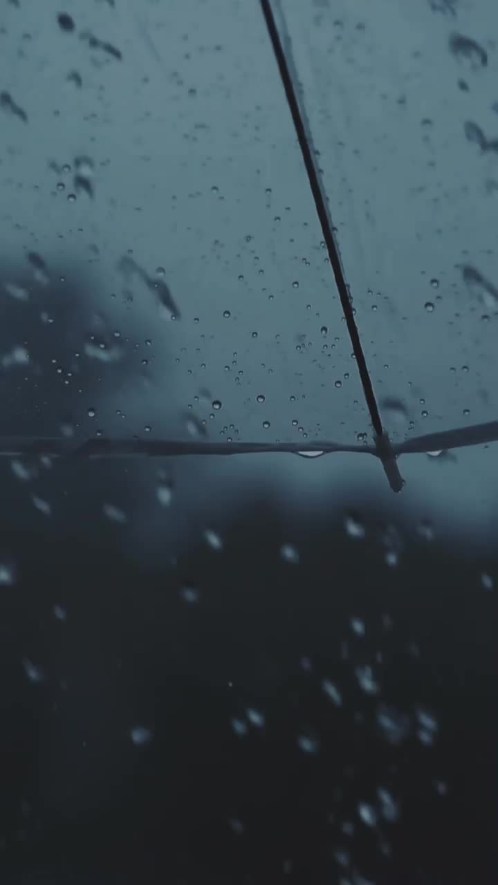 #мрачное #дождь #автомобиль #дорога