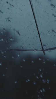 #мрачное #дождь #автомобиль #дорога