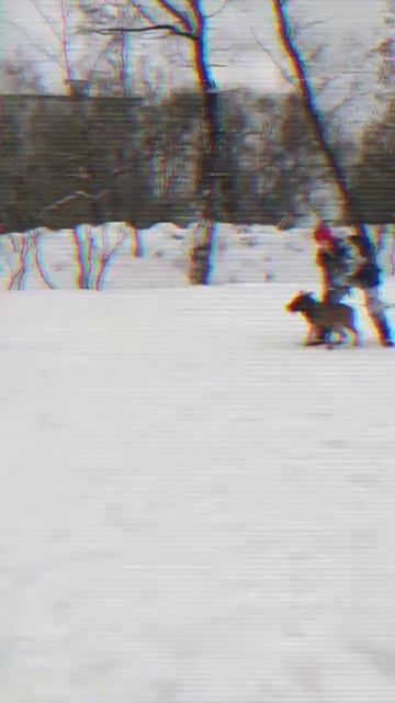 Курс Защитно-Караульной Службы