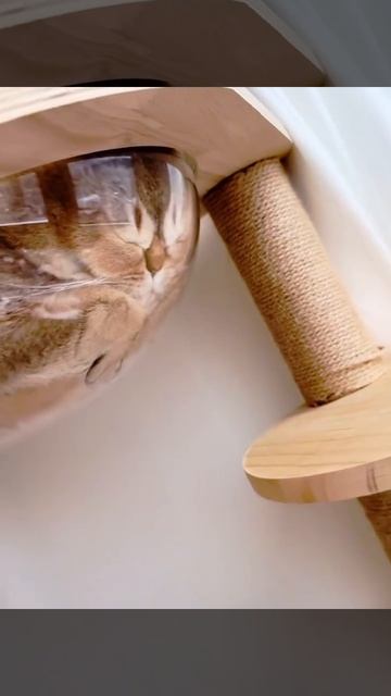 Как чувствуют себя трехдневные макарошки, на дне кастрюли, в холодильнике😂