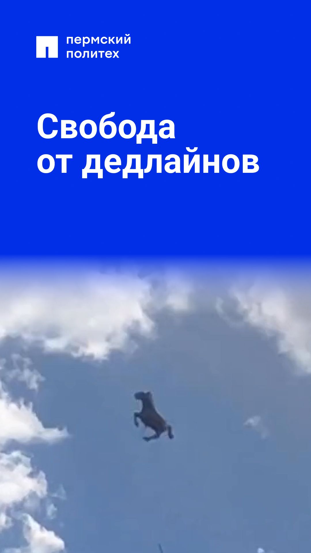 На седьмом небе от счастья