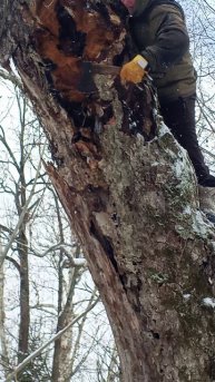 за чягой по снегу