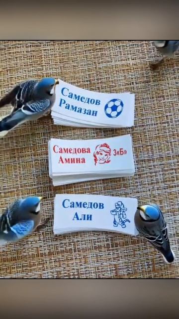 Именные бирки для детских вещей