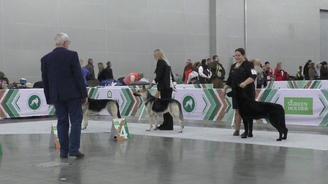 Класс промежуточный