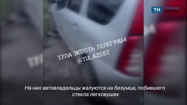 Жители Косой Горы пожаловались на разбитые неизвестным авто