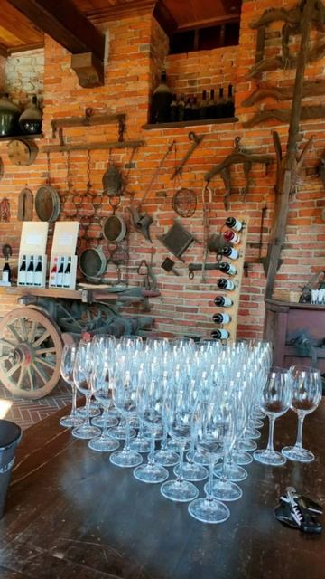 Винные дороги и праздник молодого вина «Божоле Нуво» в репортаже сопровождающей Ольги Бобровничей.