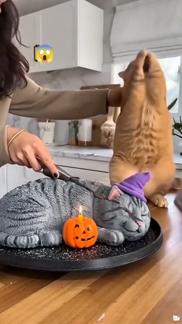 Реакция кошек на торт Нейросеть ИИ