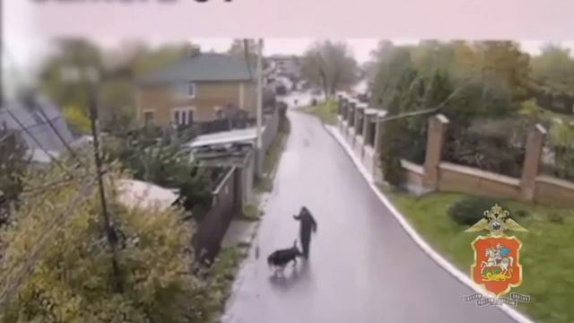 ‼️В Люберцах мужчина зарезал собаку, которая приставала к его питомцу‼️