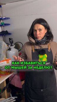 Как избавиться от мышей за неделю