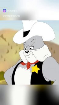 новые том и джерри