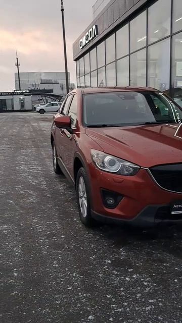 video_2025-11-24_10-05-24