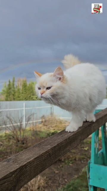 Настюня пришла к Пикселюше в его ледяные сны 🌞🌈🌟😻💓💐😽❄️