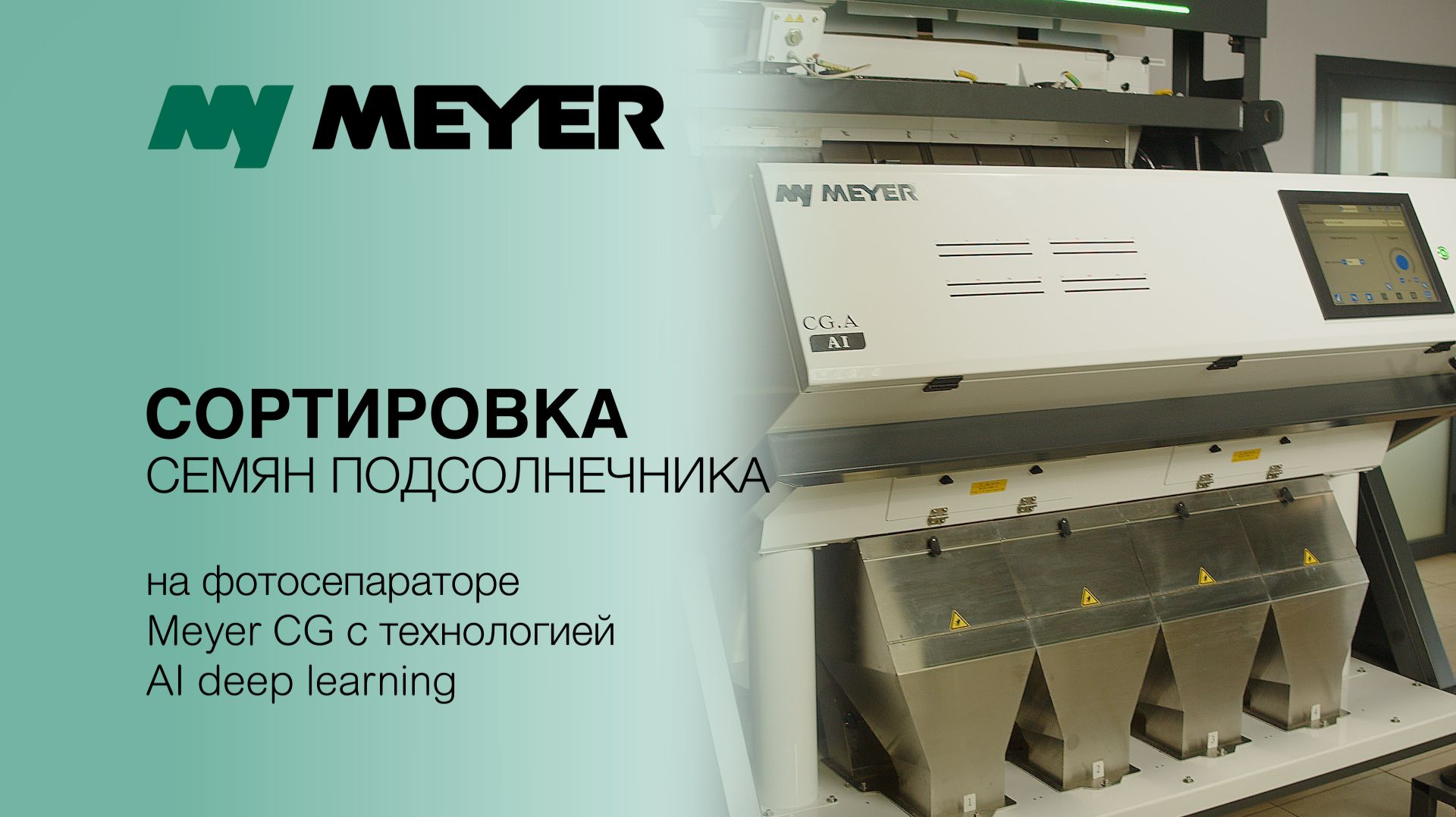 Сортировка семян подсолнечника