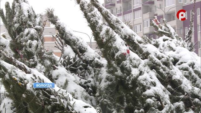 На финишной прямой благоустройство Осановской рощи и Детского парка на площади Революции