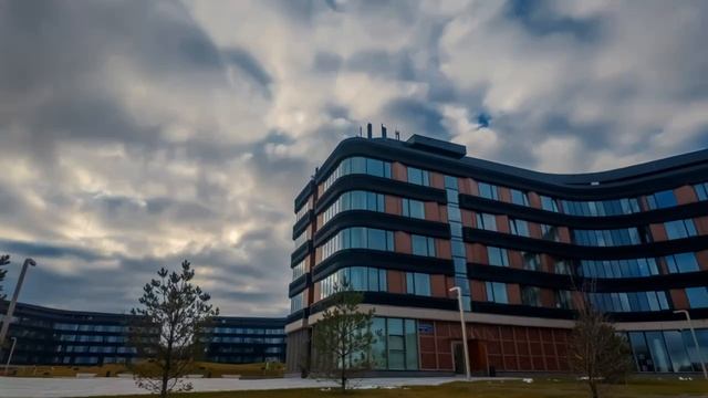 Новые смыслы для России: чем стал VII Всероссийский форум «Дигория» для общества