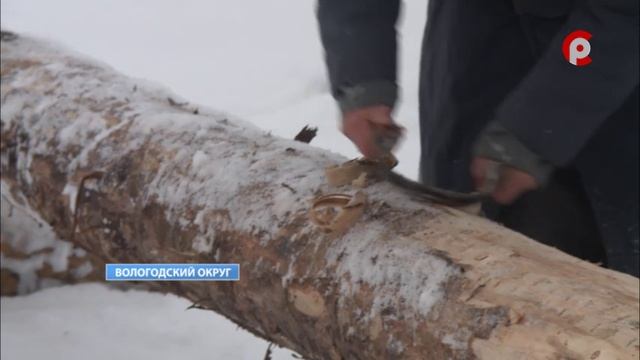 К строительству нового памятника деревянного зодчества приступили в музее "Семенково".