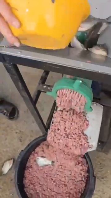 Промышленная костедробилка измельчитель шредер MS42 GRINGO рыба целиком