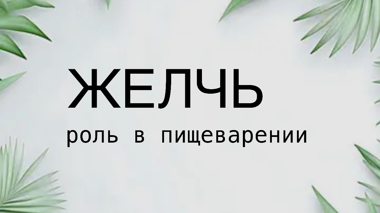 Что такое ЖЕЛЧЬ