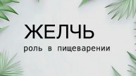 Что такое ЖЕЛЧЬ