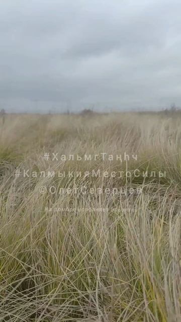 Хальмг Таңhч. Калмыкия.
