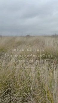 Хальмг Таңhч. Калмыкия.