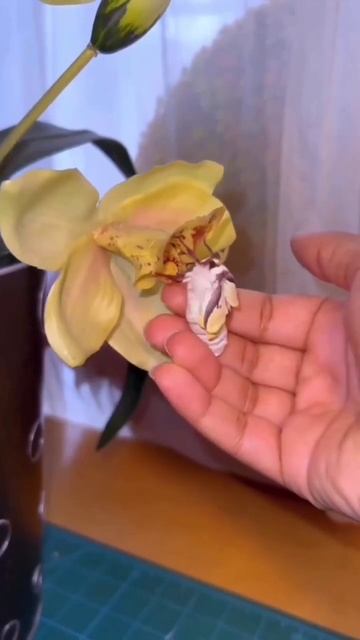 VID_20251123_232111_651.mp4