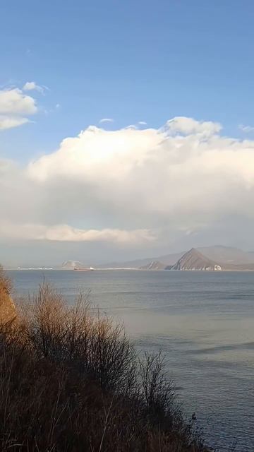 мыс Астафьева, находка