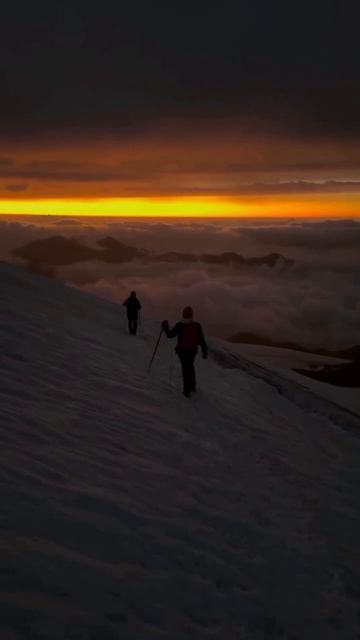 VID_20251123_233435_700.mp4