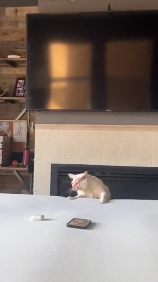 Когда пытаешься спокойно делать свои задачи, а тебя уже забирают на другой проект