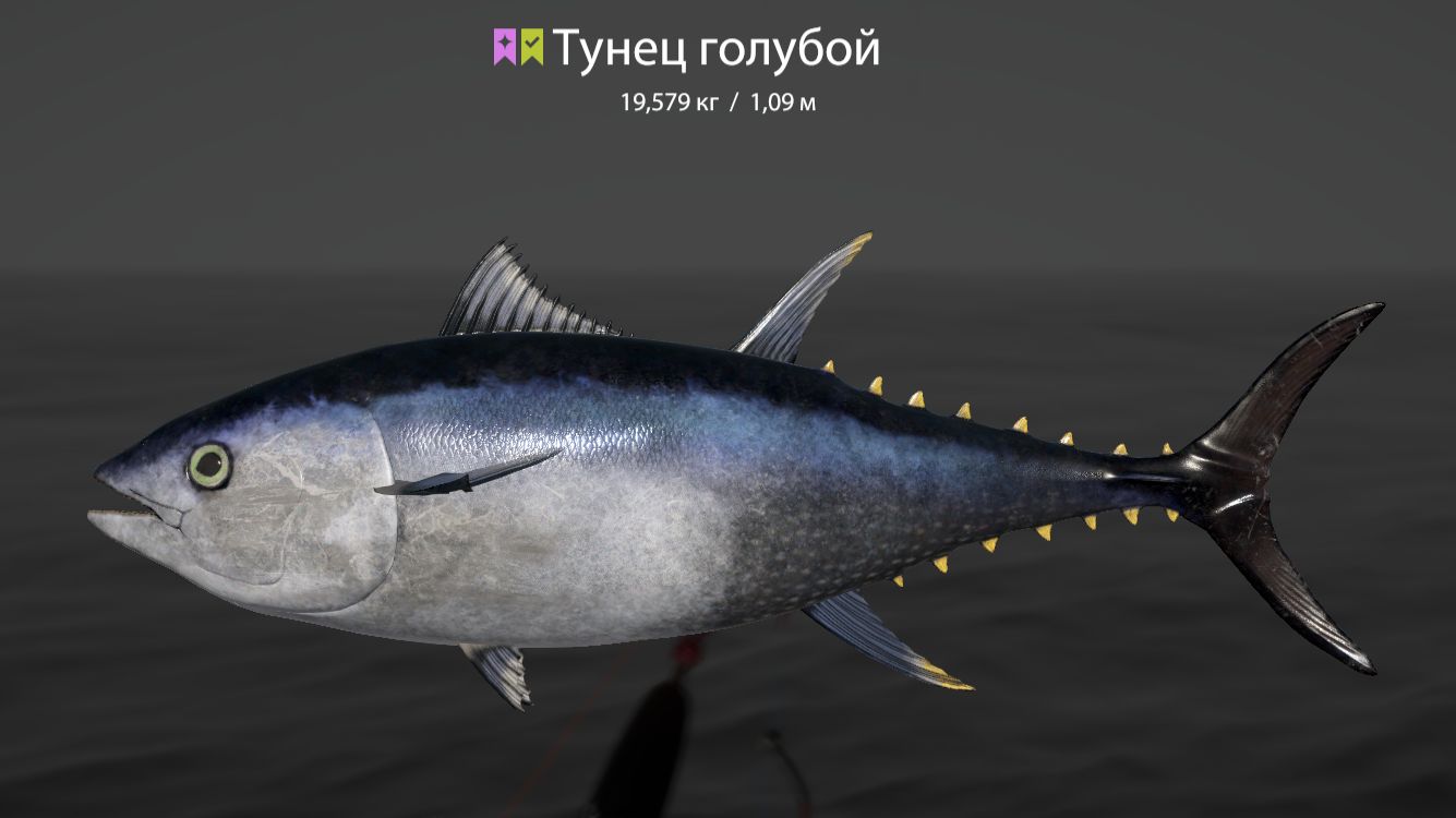 Русская Рыбалка 4 !!!