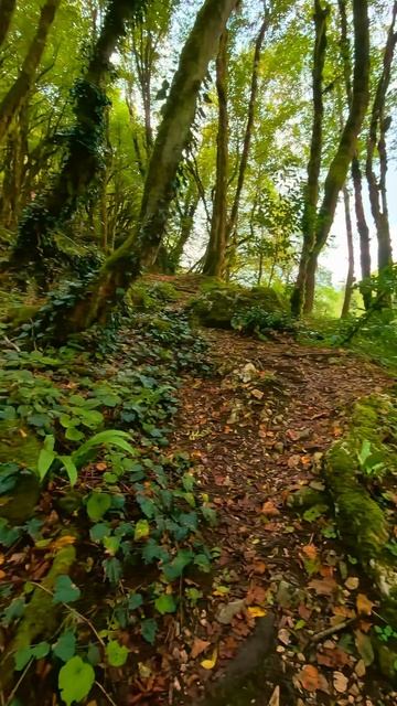 Река Джампал  #Абхазия #Сухум #Travel #Waterfall #MountainsLovers #Trip