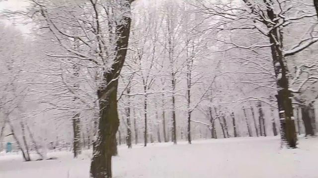 Зимний релакс