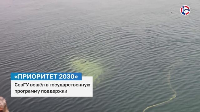 СевГУ вошёл в основной трек программы «Приоритет 2030» на 2026 год