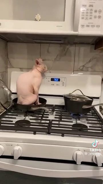 грустный с утра #shorts