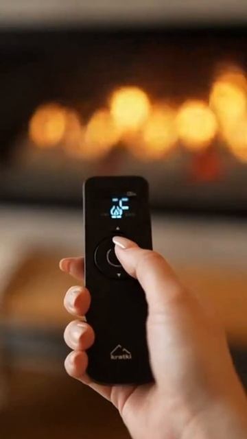 Газовая топка LEO/100/G20 для дома и дачи! #газ #топка