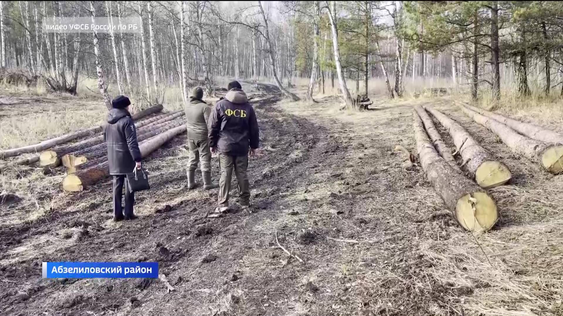 В Башкортостане задержали жителя Абзелиловского района за незаконную рубку леса